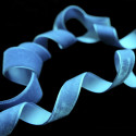 Тесьма декоративная ribbon-987-2 Velvet Ribbon от Dana Panorama - Фото №1